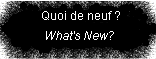 Quoi de neuf ?/What's New?